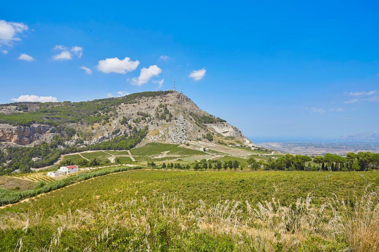 Villa Bonifato Vista Sulle Campagne E Sul Mare Siciliano Cozy House Italy Alcamo Εξωτερικό φωτογραφία